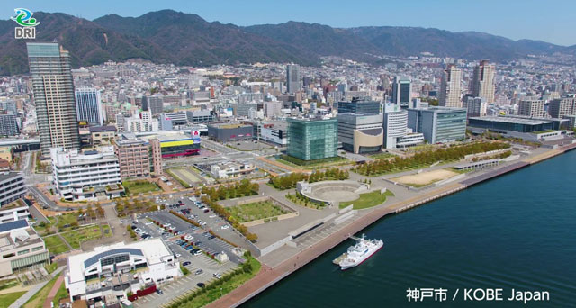 HAT神戸地区と人と防災未来センター（写真中央の緑色ビルが西館、その右隣りが東館）（DRI資料より）